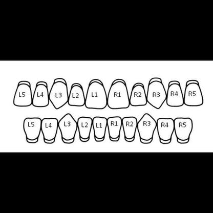 Double Cap Grillz - Custom Fit - Bor & co.